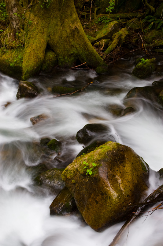 Rock In The Wallace River